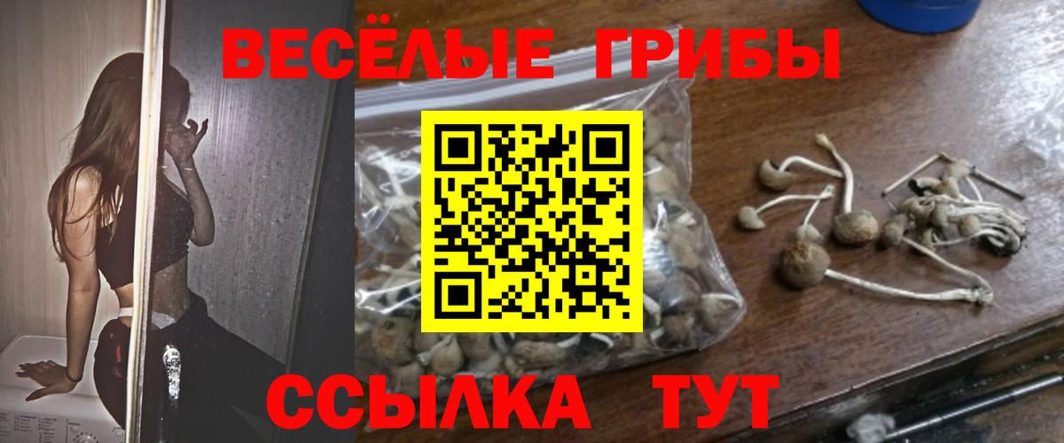 Галлюциногенные грибы ЛСД Кулебаки